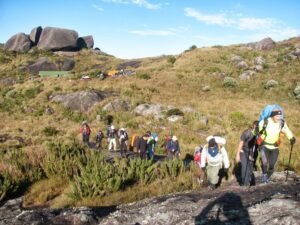 As Trilhas Mais Bonitas do Brasil: Aventuras na Natureza